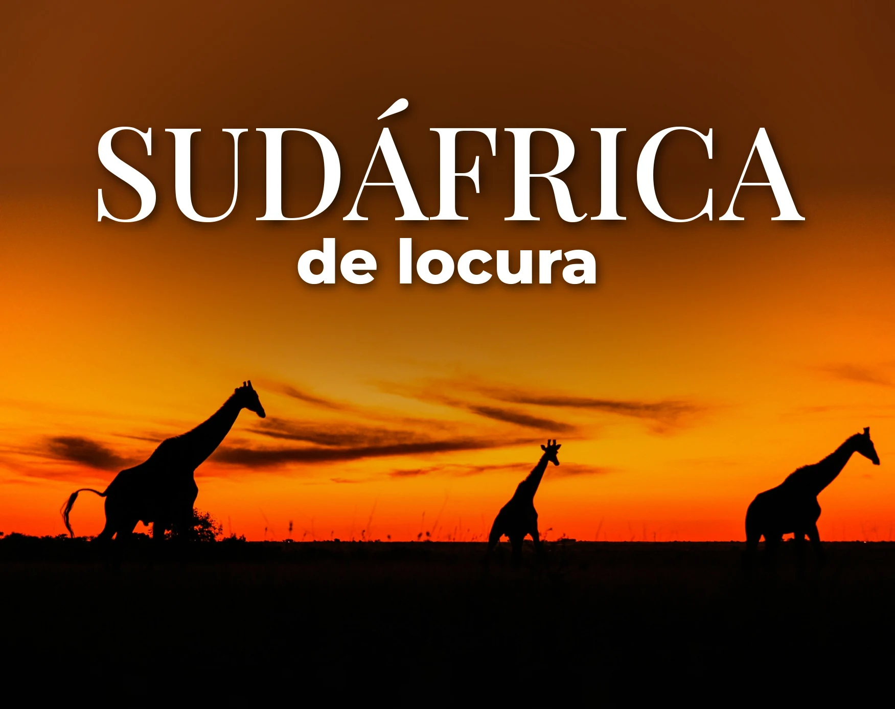 sudafrica-de-locura